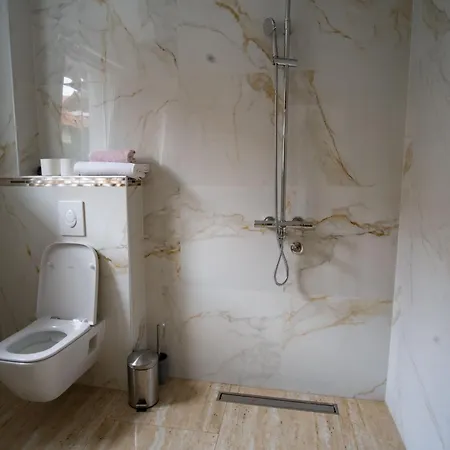 Raj Petrovic Villa Ni