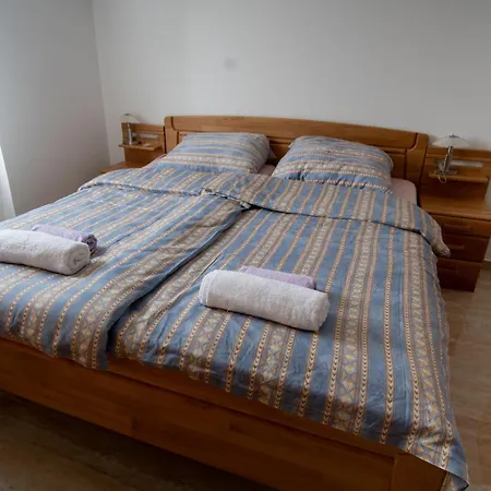 Raj Petrovic Villa Ni
